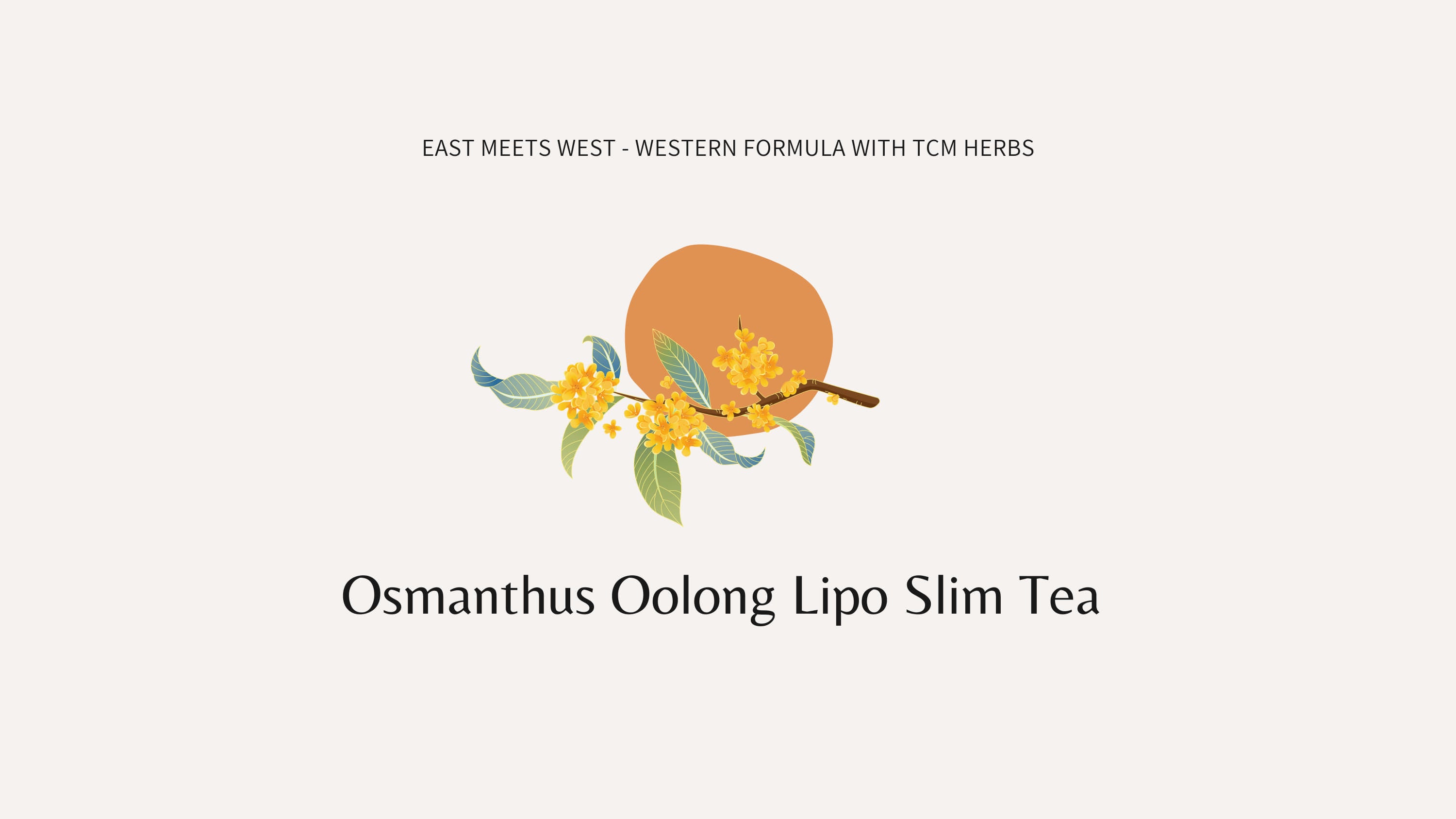 桂花烏龍燃脂晚茶 FAT BURNING Night Tea (Osmanthus Oolong)